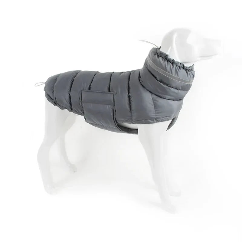 Manteau pour Lévrier & chien moyen