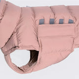 Manteau pour Lévrier & chien moyen