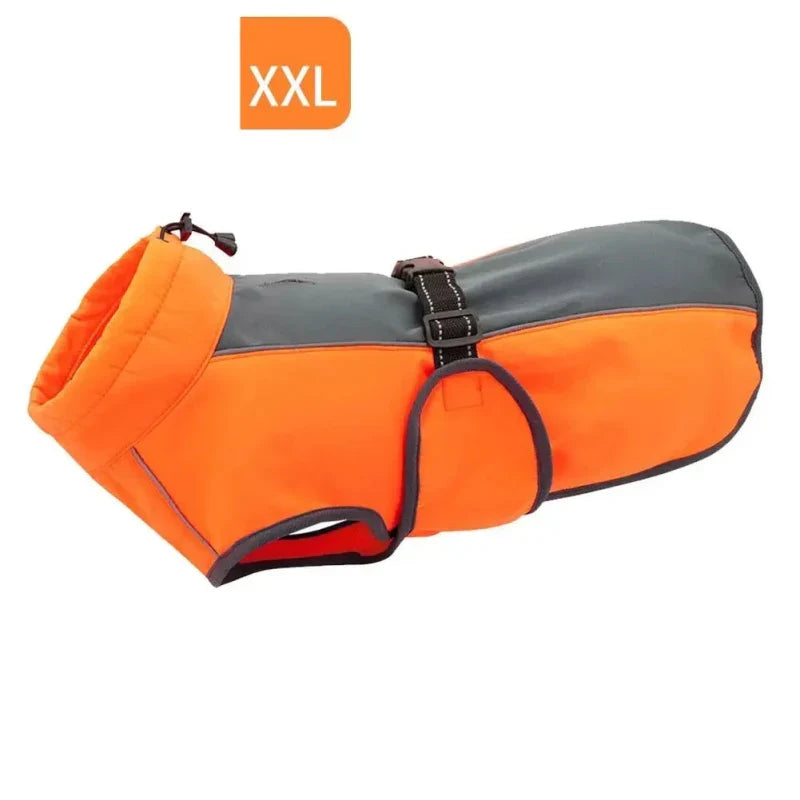 Manteau pour Rottweiler & Gros chien