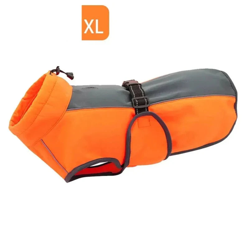Manteau pour Rottweiler & Gros chien