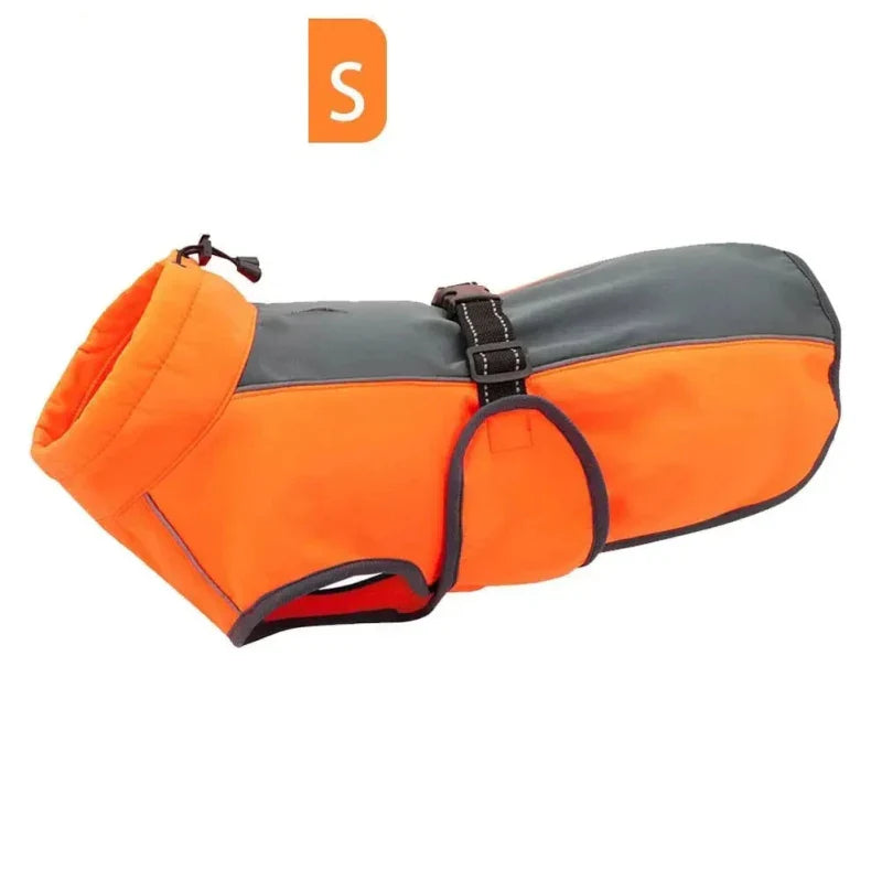 Manteau pour Rottweiler & Gros chien
