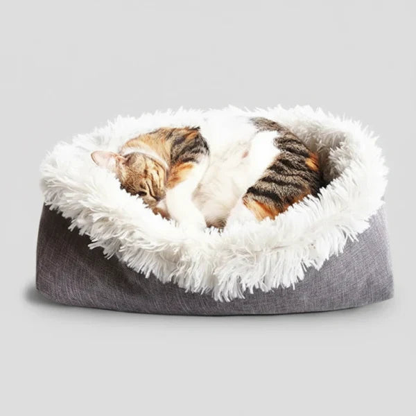 Lit Multi Positions Intérieur Douillet Pour Chat
