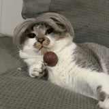 Perruque Chat Grise