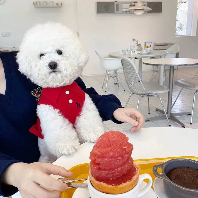 Polo pour Chien Luxe