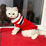 Pull à Rayures pour Chat