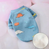 Pull Bleu pour Chat