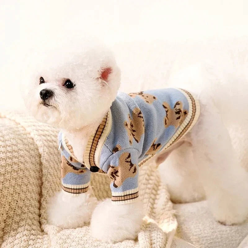 Pull Brodé pour Chien