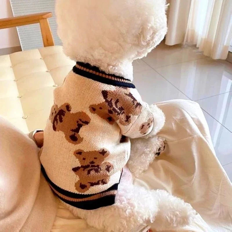 Pull Brodé pour Chien