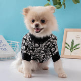 Pull Chien Christian Dog