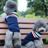 Pull Chien Col Roulé