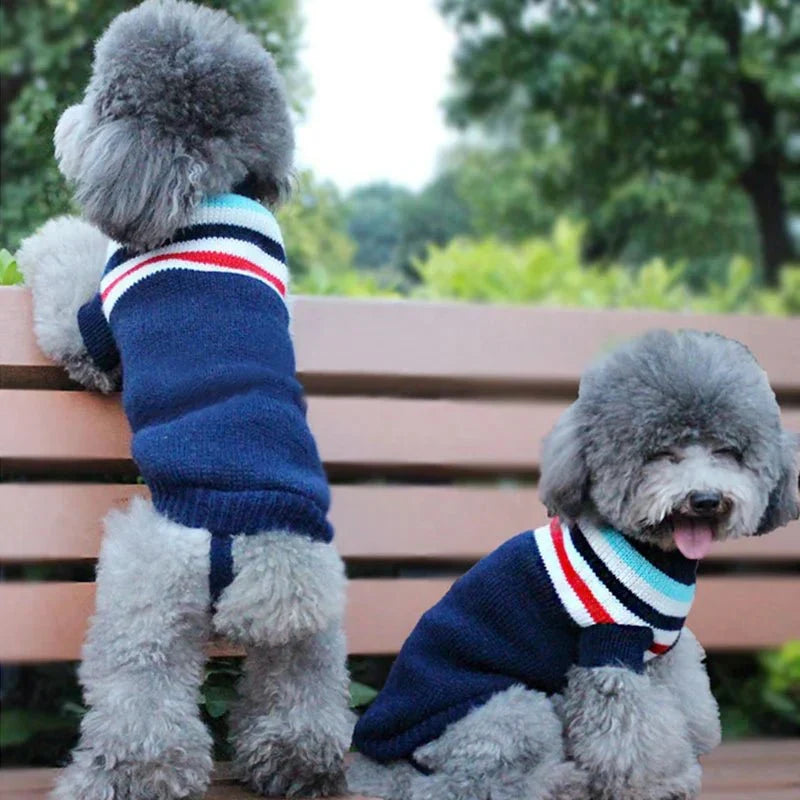 Pull Chien Col Roulé