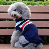 Pull Chien Col Roulé