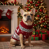 Pull Chien Noël