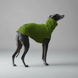 Pull col roulé pour lévrier en vert, parfait pour garder votre chien au chaud lors de promenades en extérieur