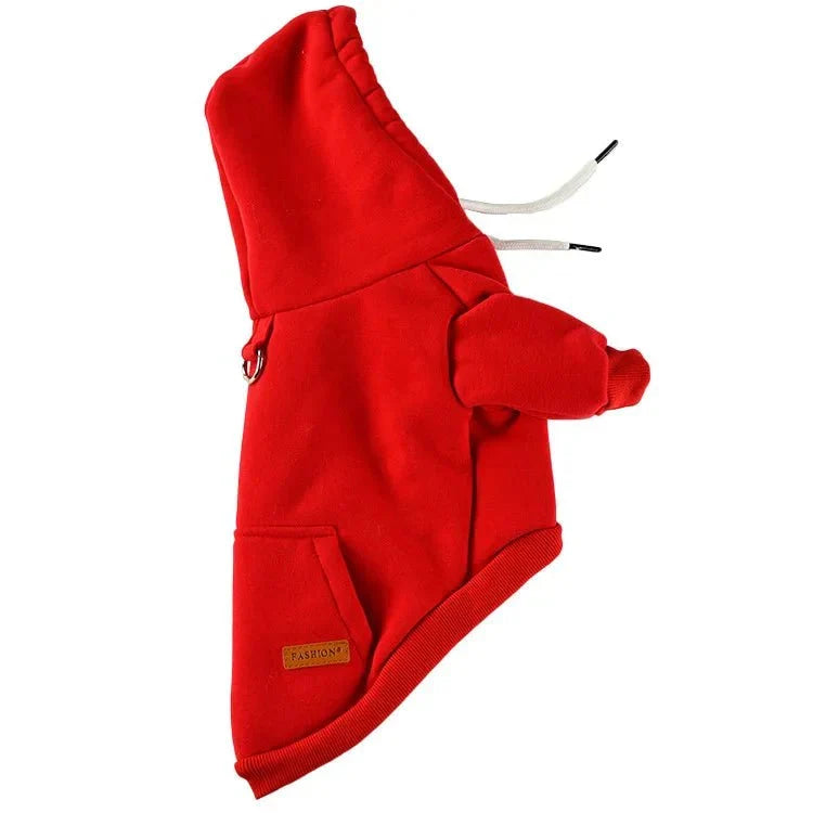 Pull Kangourou Chien