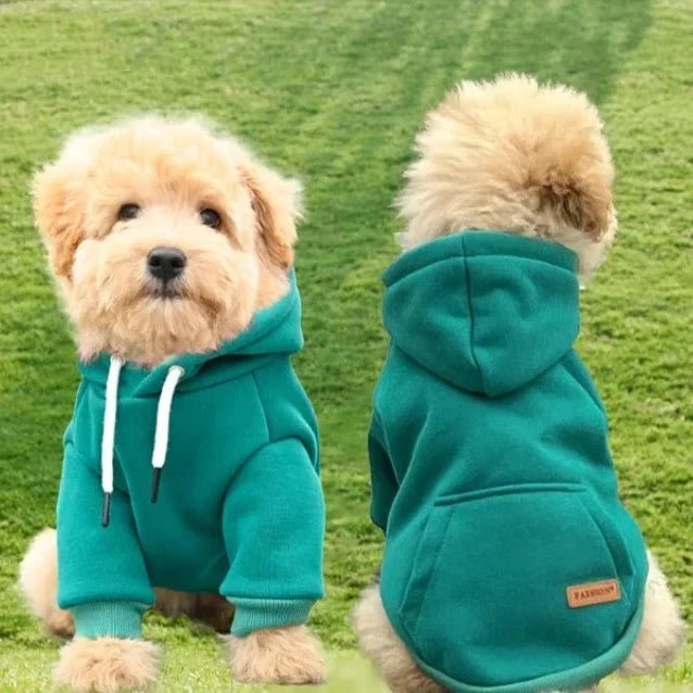Pull Kangourou Chien