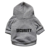 Pull Kangourou pour Chat