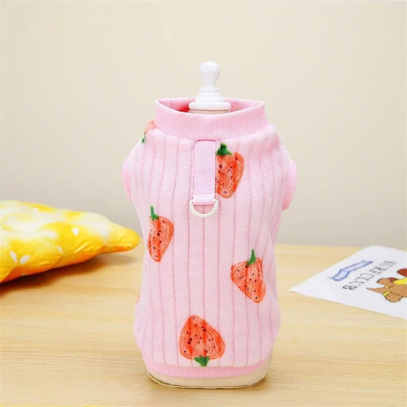Pull Motif Fraise pour Chat
