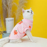 Pull Motif Fraise pour Chat