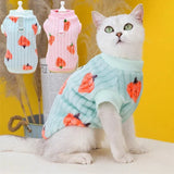 Pull Motif Fraise pour Chat