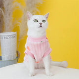 Pull Motif Fraise pour Chat