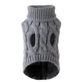 Pull Petit Chien