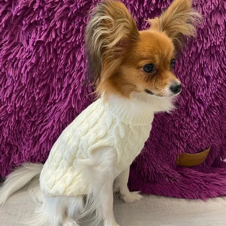 Pull Petit Chien