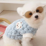 Pull pour Bichon Maltais & petit chien