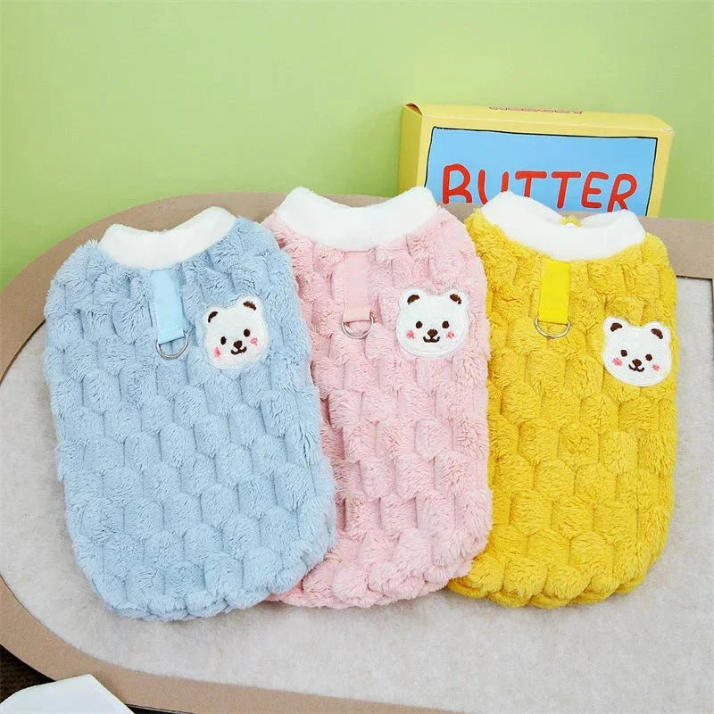 Pull pour Bichon Maltais & petit chien