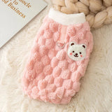 Pull pour Bichon Maltais & petit chien