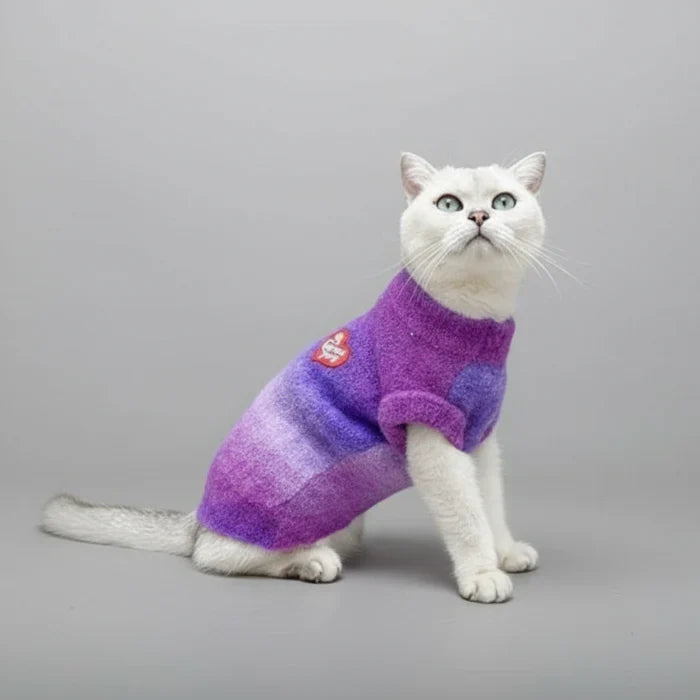 Pull Pour Chat Confort Et Style