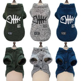 Pull pour Chat Sphynx