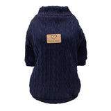 Pull pour Chaton et Chat