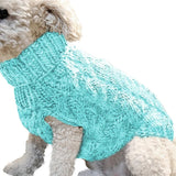 Pull pour Chien Tricot