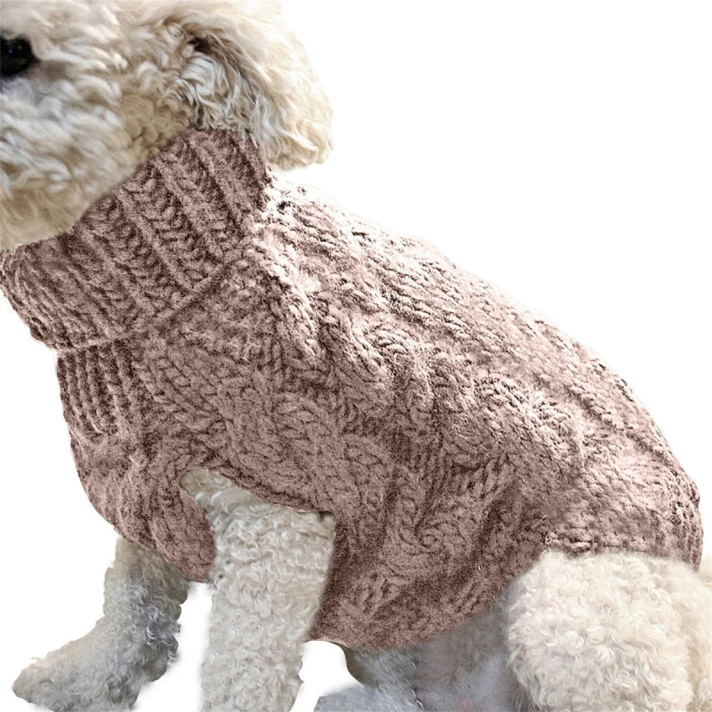 Pull pour Chien Tricot