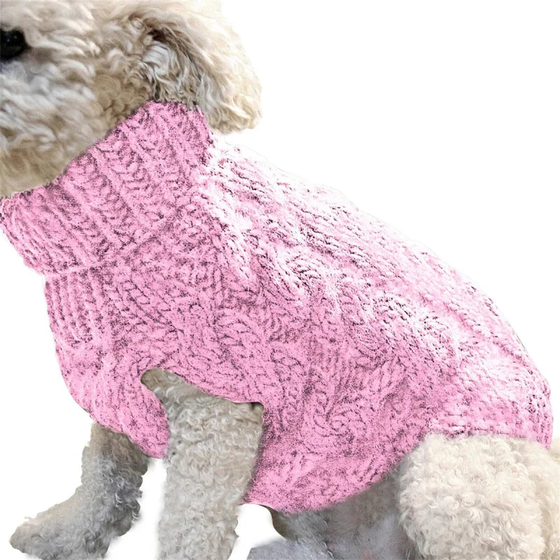 Pull pour Chien Tricot