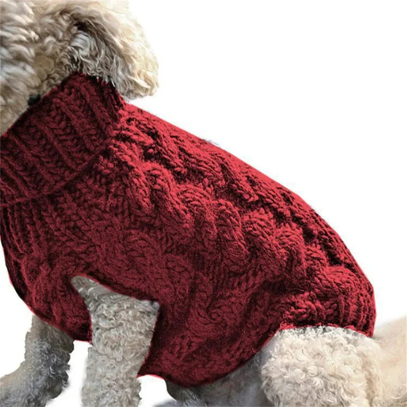 Pull pour Chien Tricot