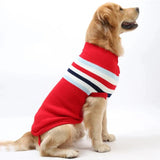 Pull pour Grand Chien