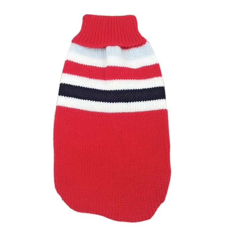 Pull pour Grand Chien