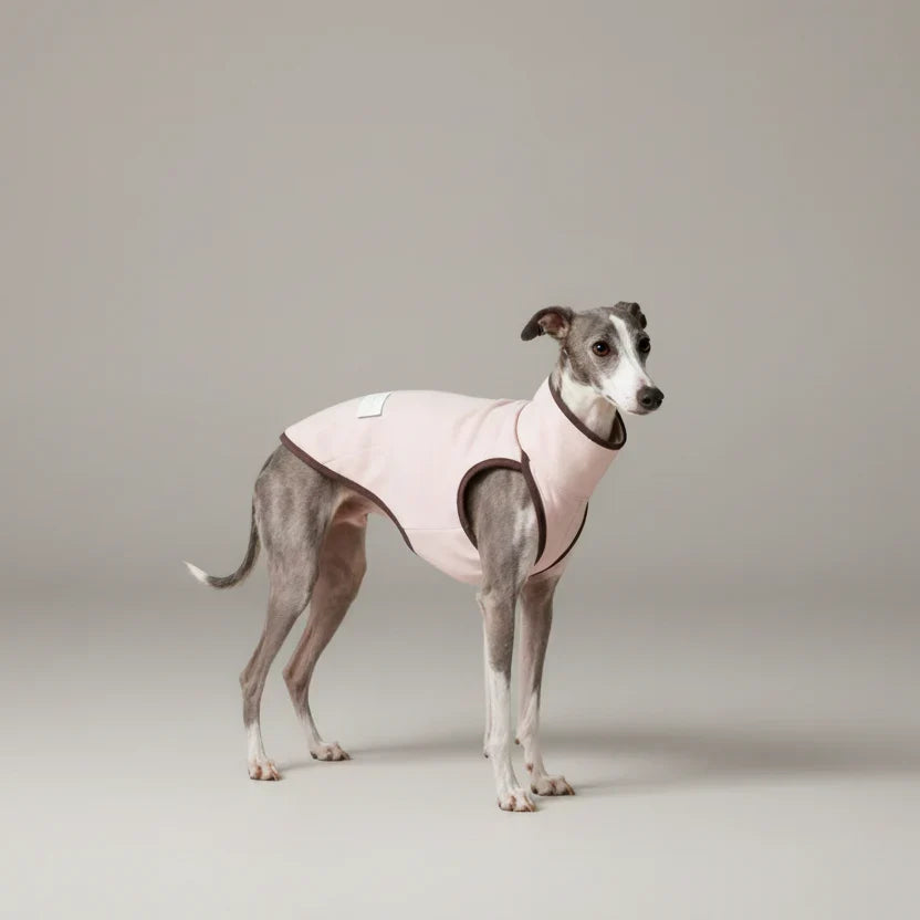 Pull pour lévrier italien en rose avec des finitions brunes et un design confortable