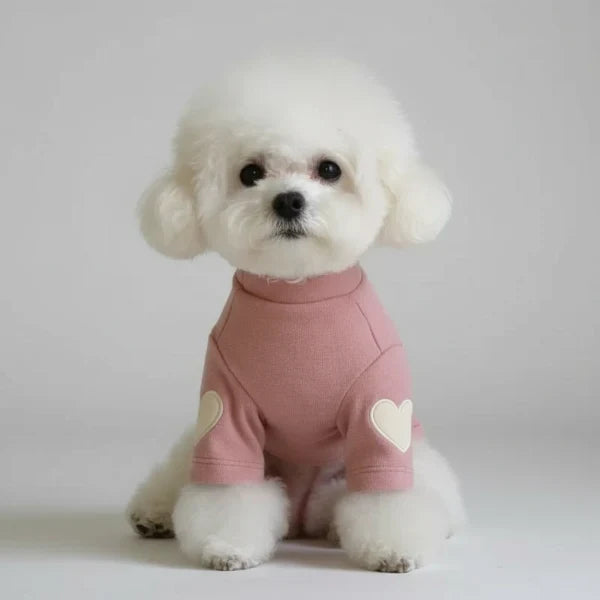 Petit chien blanc portant un pull pour petit chien rose avec coudières en forme de cœur