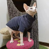 Pull pour Sphynx Col roulé
