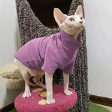Pull pour Sphynx Col roulé