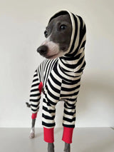 Pull rayé pour chien chaleur douillette et allure chic