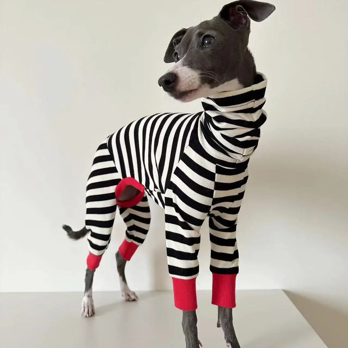 Pull rayé pour chien chaleur douillette et allure chic
