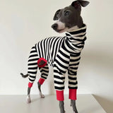 Pull rayé pour chien chaleur douillette et allure chic