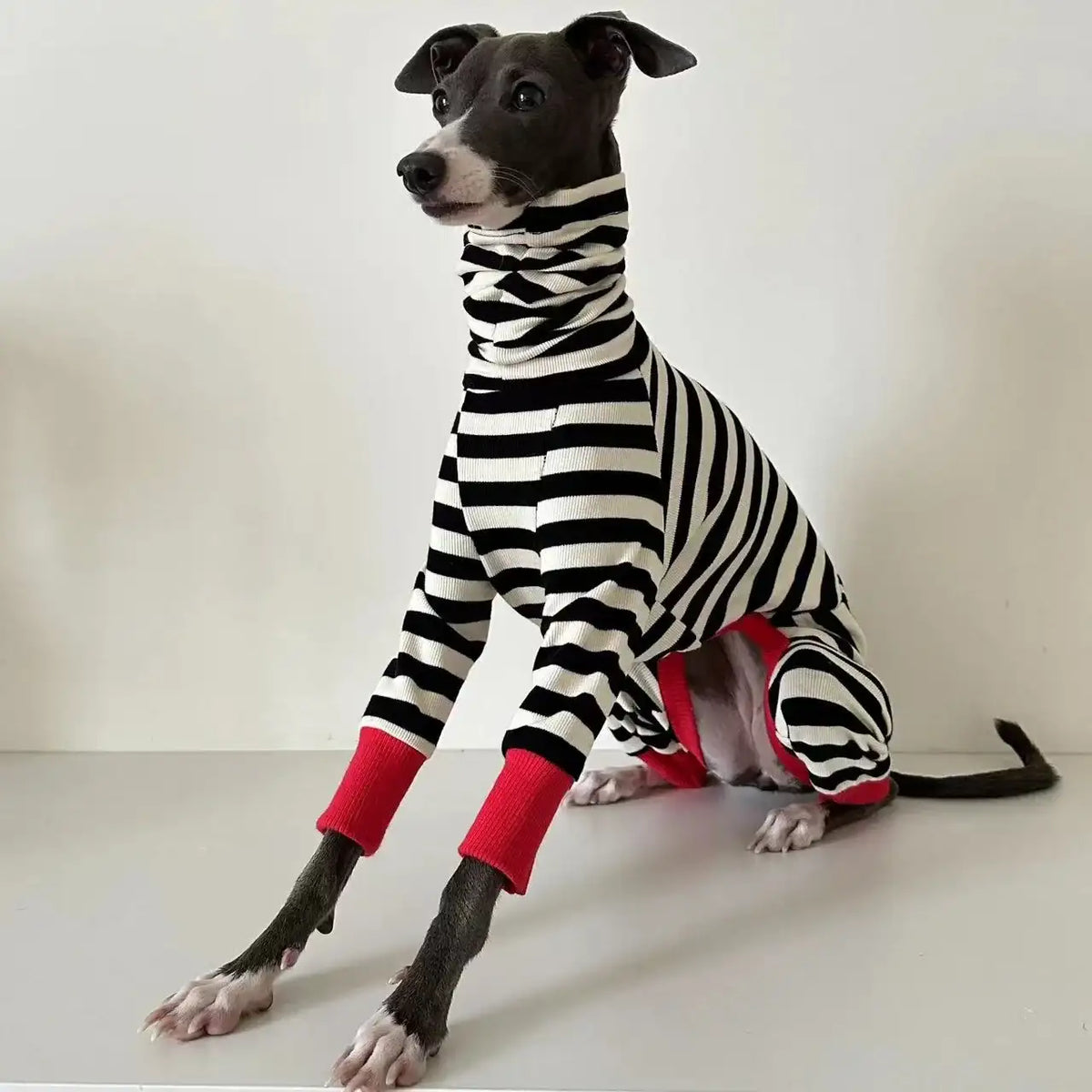 Pull rayé pour chien chaleur douillette et allure chic