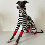 Pull rayé pour chien chaleur douillette et allure chic