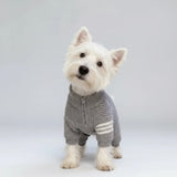 Pull tricoté pour chien en gris avec fermeture éclair et rayures blanches pour animaux élégants