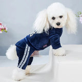Pyjama Caniche Bleu